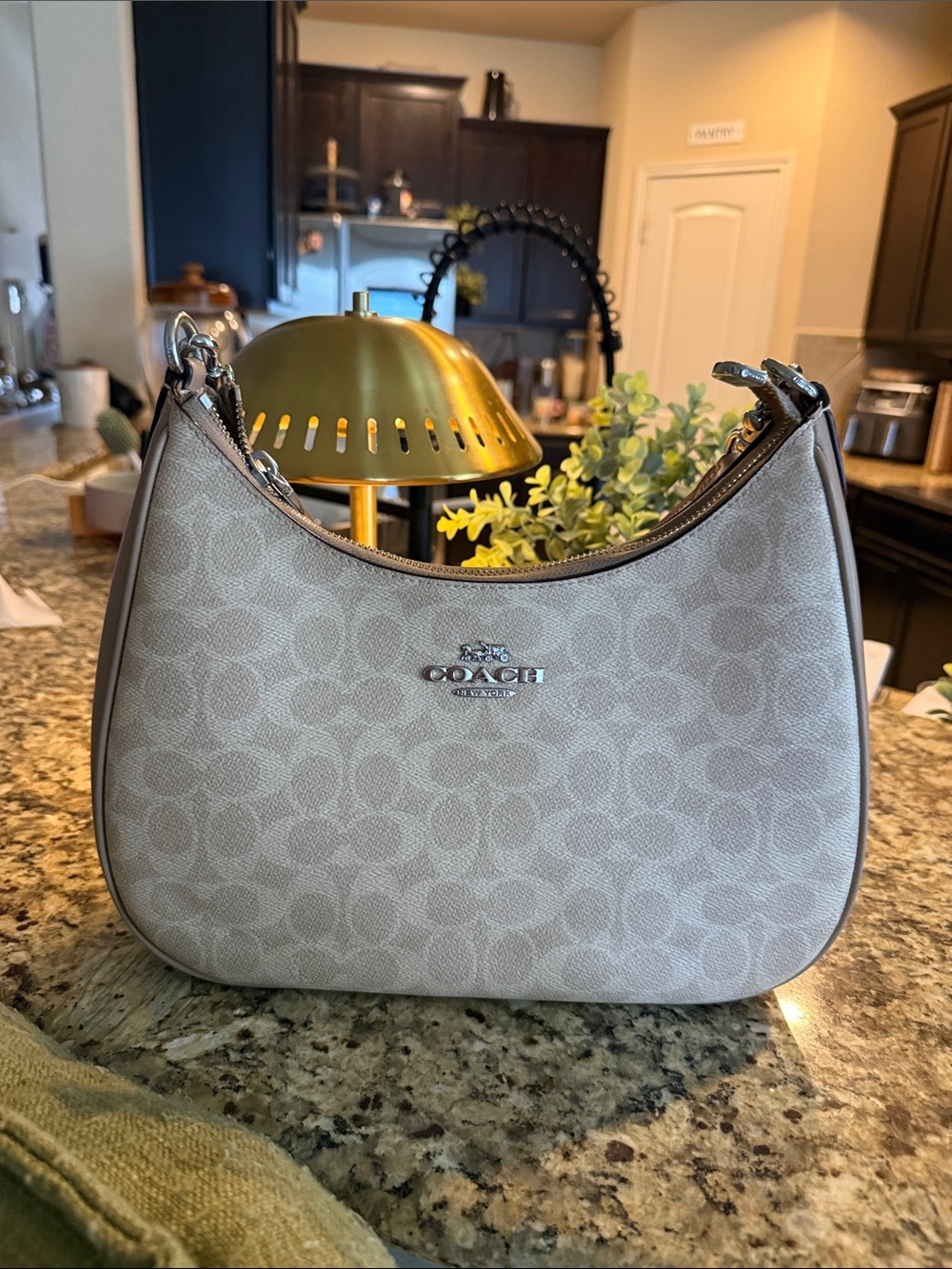 Coach Signature Pebbled Shoulder Bag in Light Taupe - Picture 2 of 16